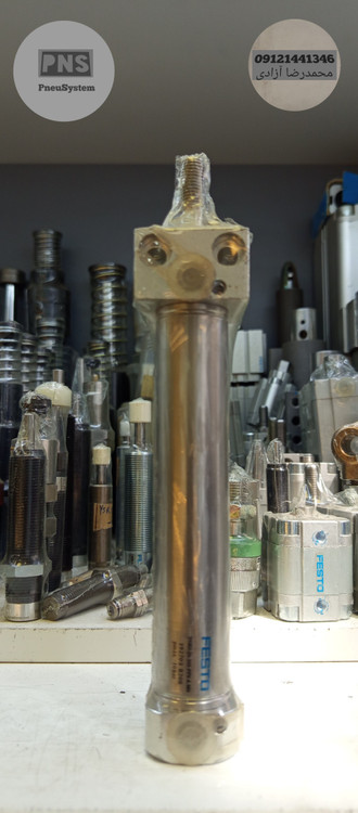 جک قلمی فستو